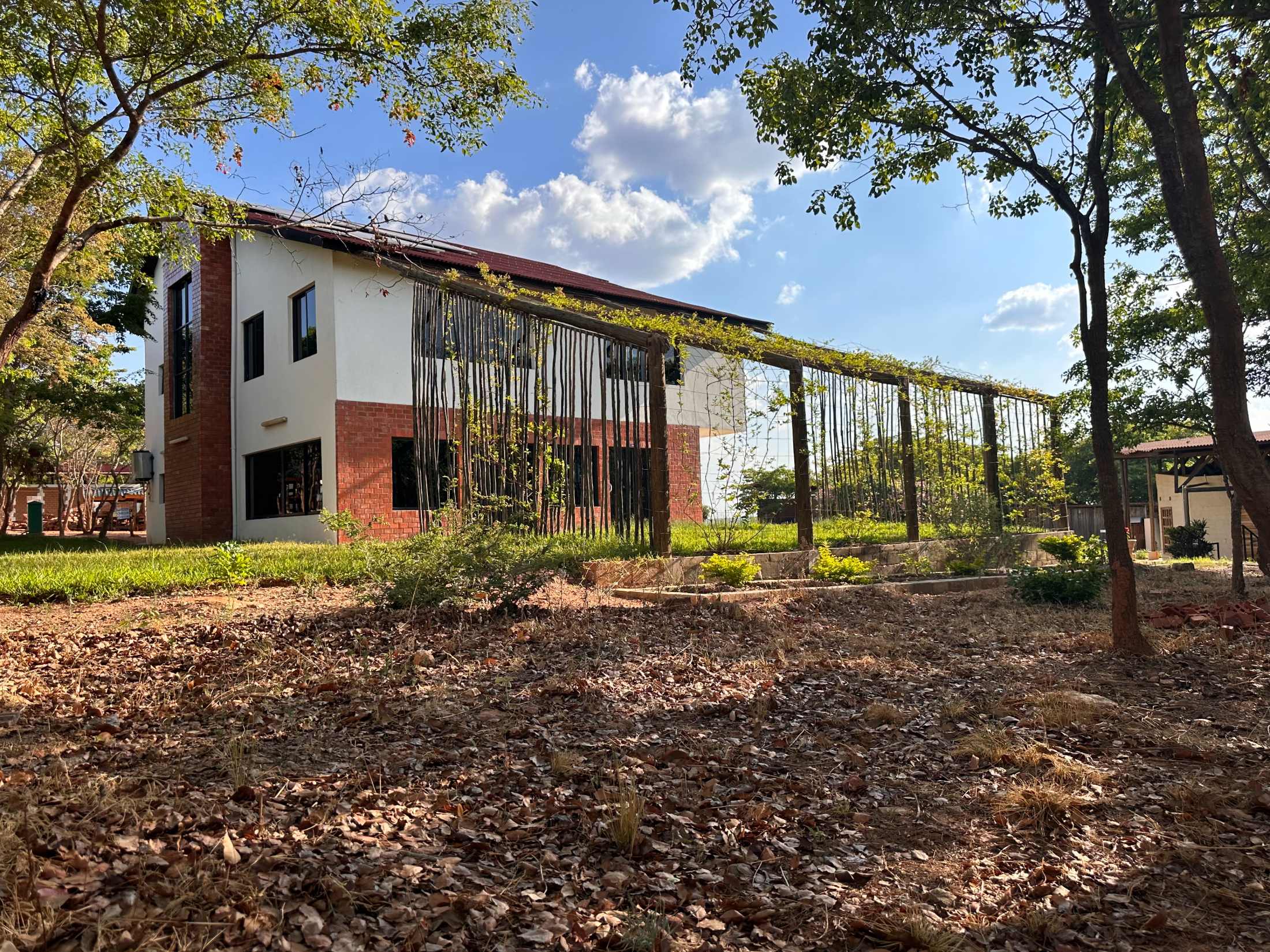 The completed building in late afternoon light, brick and white walls under a long pitched roof, a planted pole pergola running the length of the facade