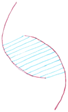 Hand sketch reducing the helix to a single organising curve